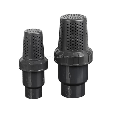 Servizio di lavorazione stampaggio 1 pollice PVC valvole a piedi Valvole di controllo Tipo Grigio bianco