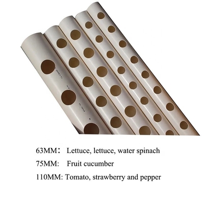Sistema idroponico di tubi in PVC rotondo di colore bianco da 63 mm a 75 mm con le esigenze del compratore B2B in mente