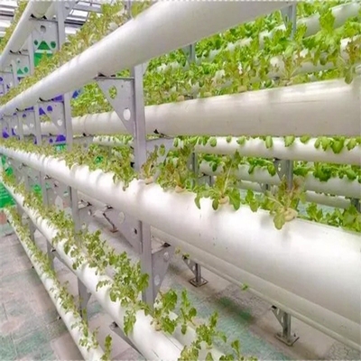 Tubi in PVC rotondo di spessore standard Sistema NFT idroponico per la coltivazione del giardino